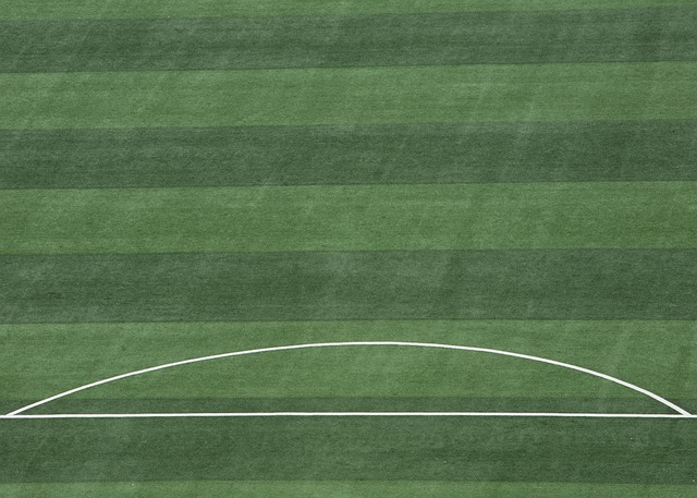 FIFA受
