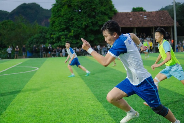 的预测优势 的预测优势