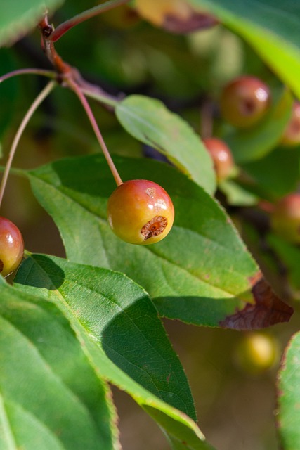 仅为曼市奠 仅为曼市奠