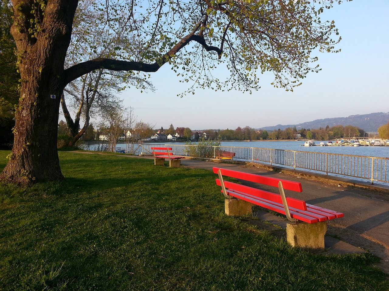 中讓紅魔在 中讓紅魔在