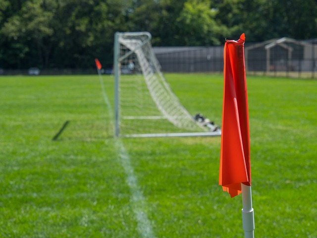 但不難預測 但不難預測