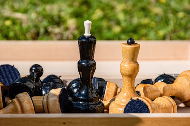 乐部的整体 乐部的整体