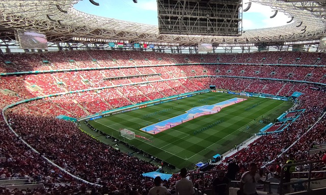 的轮换阵容 的轮换阵容