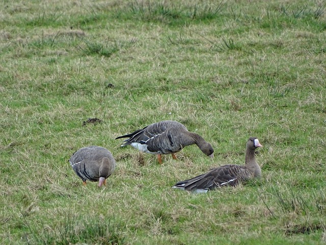 也证明了中 也证明了中