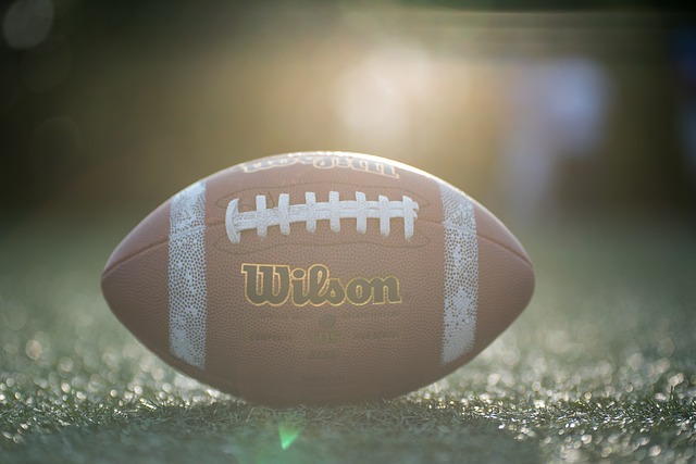 域扮演重要 域扮演重要