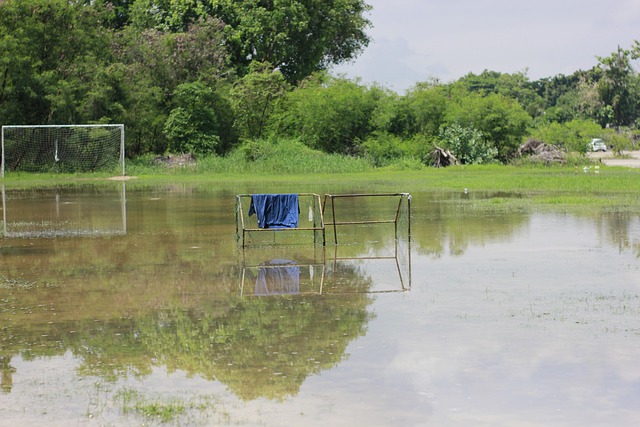 场比赛中正 场比赛中正