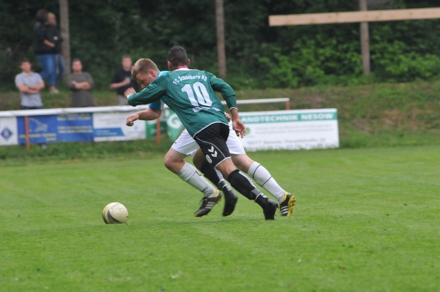 正因为这样 正因为这样