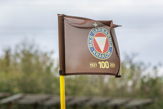 抹黑莎头敛 抹黑莎头敛